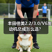 丰田佳美2.2/3.0/V6发动机总成怎么选? 丰田佳美2.2/3.0/V6发动机总成怎么选?