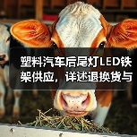 塑料汽车后尾灯LED铁架供应，详述退换货与色差处理
