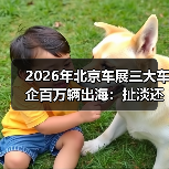 智穹界佑迈疾配网