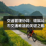 交通管理协调：破解城市交通难题的关键之匙