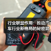 行业联盟作用:推动汽车行业新格局的秘密武器 行业联盟作用:推动汽车行业新格局的秘密武器