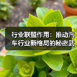 行业联盟作用:推动汽车行业新格局的秘密武器 行业联盟作用:推动汽车行业新格局的秘密武器