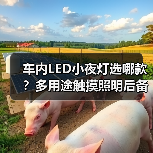 车内LED小夜灯选哪款？多用途触摸照明后备箱阅读灯推荐