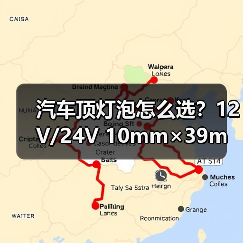 汽车顶灯泡怎么选？12V/24V 10mm×39mm/31mm 50只装