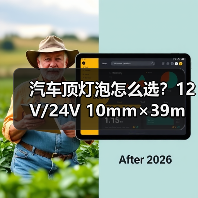 汽车顶灯泡怎么选？12V/24V 10mm×39mm/31mm 50只装