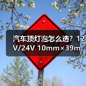 汽车顶灯泡怎么选？12V/24V 10mm×39mm/31mm 50只装