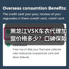 黑龙江VSK车衣代理加盟价格多少?口碑保障! 黑龙江VSK车衣代理加盟价格多少?口碑保障!