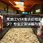 黑龙江VSK车衣价格多少?专业定制详解与最新报价 黑龙江VSK车衣价格多少?专业定制详解与最新报价