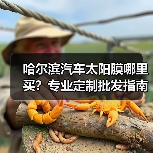 哈尔滨汽车太阳膜哪里买?专业定制批发指南 哈尔滨汽车太阳膜哪里买?专业定制批发指南