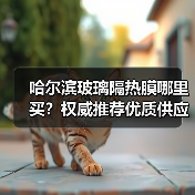哈尔滨玻璃隔热膜哪里买？权威推荐优质供应商
