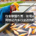 行业联盟作用:如何共同驱动汽车行业迈向新高度 行业联盟作用:如何共同驱动汽车行业迈向新高度