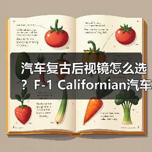 汽车复古后视镜怎么选？F-1 Californian汽车观后镜选购指南