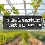 矿山自卸车配件批发 转向助力油缸3409010-999/B现货直发