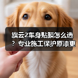 旗云2车身贴膜怎么选？专业施工保护原漆更持久