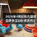 2026年4月新势力尾部品牌承压加剧资源向头部集中