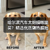 哈尔滨汽车太阳膜哪里买？精选优质隔热膜批发