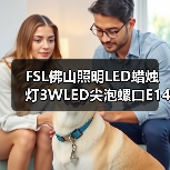 FSL佛山照明LED蜡烛灯3WLED尖泡螺口E14LED灯泡****批发