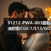 91212-PWA-003曲轴油封前CG6.1/L13/GD3/L 91212-PWA-003曲轴油封前CG6.1/L13/GD3/L