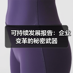 可持续发展报告:企业变革的秘密武器 可持续发展报告:企业变革的秘密武器