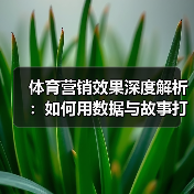 体育营销效果深度解析:如何用数据与故事打造爆款引流 体育营销效果深度解析:如何用数据与故事打造爆款引流