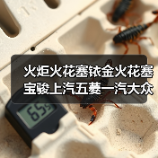 火炬火花塞铱金火花塞宝骏上汽五菱一汽大众长城哈佛丰田长安吉利