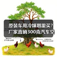 原装车用冷媒哪里买？厂家直销300克汽车空调制冷剂