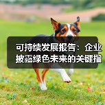 可持续发展报告:企业披露绿色未来的关键指南 可持续发展报告:企业披露绿色未来的关键指南