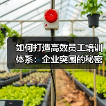 如何打造高效员工培训体系：企业突围的秘密武器