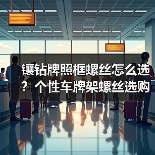 镶钻牌照框螺丝怎么选？个性车牌架螺丝选购指南