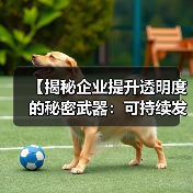 【揭秘企业提升透明度的秘密武器:可持续发展报告】 【揭秘企业提升透明度的秘密武器:可持续发展报告】