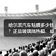 哈尔滨汽车贴膜多少钱？正品玻璃隔热膜、威固直营店供应