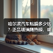 哈尔滨汽车贴膜多少钱？正品玻璃隔热膜、威固直营店供应