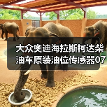 大众奥迪海拉斯柯达柴油车原装油位传感器07P907660