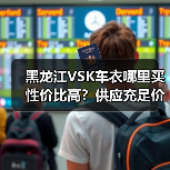 黑龙江VSK车衣哪里买性价比高?供应充足价格透明 黑龙江VSK车衣哪里买性价比高?供应充足价格透明