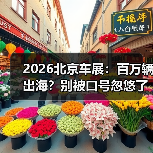 2026北京车展：百万辆出海？别被口号忽悠了