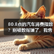 80.8点的汽车消费指数?别被数据骗了,我告诉你真实情况 80.8点的汽车消费指数?别被数据骗了,我告诉你真实情况