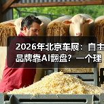 2026年北京车展:自主品牌靠AI翻盘?一个理性观察 2026年北京车展:自主品牌靠AI翻盘?一个理性观察