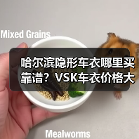 哈尔滨隐形车衣哪里买靠谱?VSK车衣价格大揭秘 哈尔滨隐形车衣哪里买靠谱?VSK车衣价格大揭秘