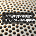 汽车品牌忠诚度培养:如何在复杂市场中赢得用户信任 汽车品牌忠诚度培养:如何在复杂市场中赢得用户信任