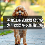 黑龙江车衣批发报价多少?优质车衣价格全解析 黑龙江车衣批发报价多少?优质车衣价格全解析