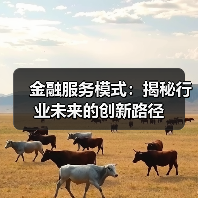 金融服务模式:揭秘行业未来的创新路径 金融服务模式:揭秘行业未来的创新路径