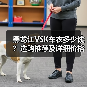 黑龙江VSK车衣多少钱?选购推荐及详细价格指南 黑龙江VSK车衣多少钱?选购推荐及详细价格指南