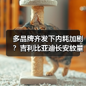 多品牌齐发下内耗加剧?吉利比亚迪长安放量逻辑大不同 多品牌齐发下内耗加剧?吉利比亚迪长安放量逻辑大不同