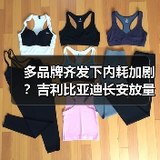 多品牌齐发下内耗加剧?吉利比亚迪长安放量逻辑大不同 多品牌齐发下内耗加剧?吉利比亚迪长安放量逻辑大不同