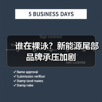 谁在裸泳?新能源尾部品牌承压加剧 谁在裸泳?新能源尾部品牌承压加剧