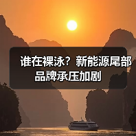 谁在裸泳?新能源尾部品牌承压加剧 谁在裸泳?新能源尾部品牌承压加剧