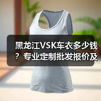 黑龙江VSK车衣多少钱?专业定制批发报价及服务指南 黑龙江VSK车衣多少钱?专业定制批发报价及服务指南