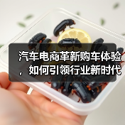 汽车电商革新购车体验,如何引领行业新时代? 汽车电商革新购车体验,如何引领行业新时代?