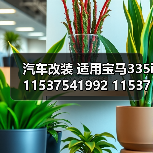 汽车改装 适用宝马335i 11537541992 11537544638 OEM水软管接头 汽车改装 适用宝马335i 11537541992 11537544638 OEM水软管接头
