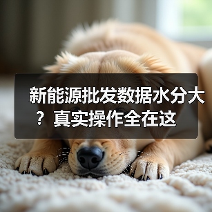 新能源批发数据水分大？真实操作全在这